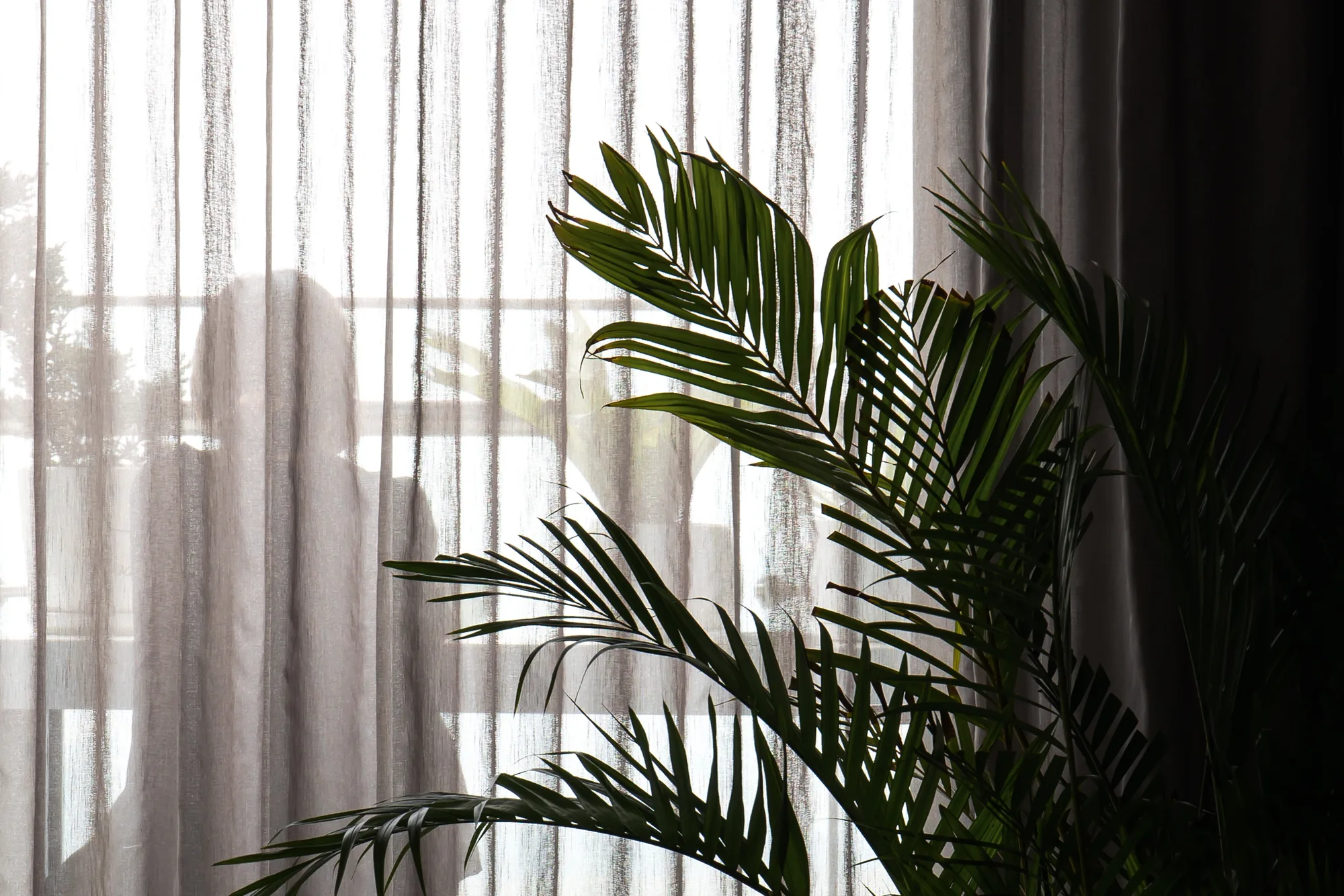 Sun Apartment — 26